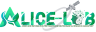 ALICE-LAB